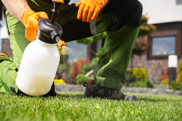 Best Wasp Removal Services  in Cameron, WI