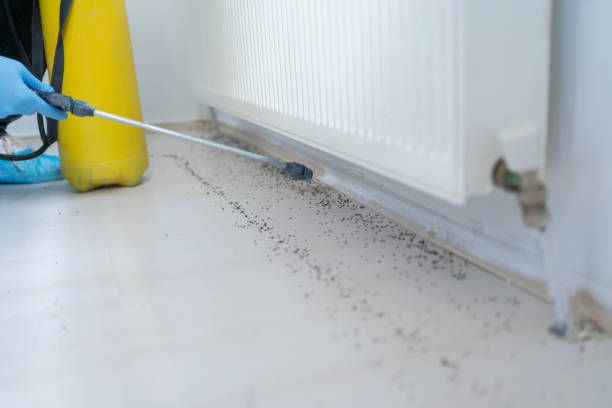 Best Commercial Pest Control Services  in Cameron, WI